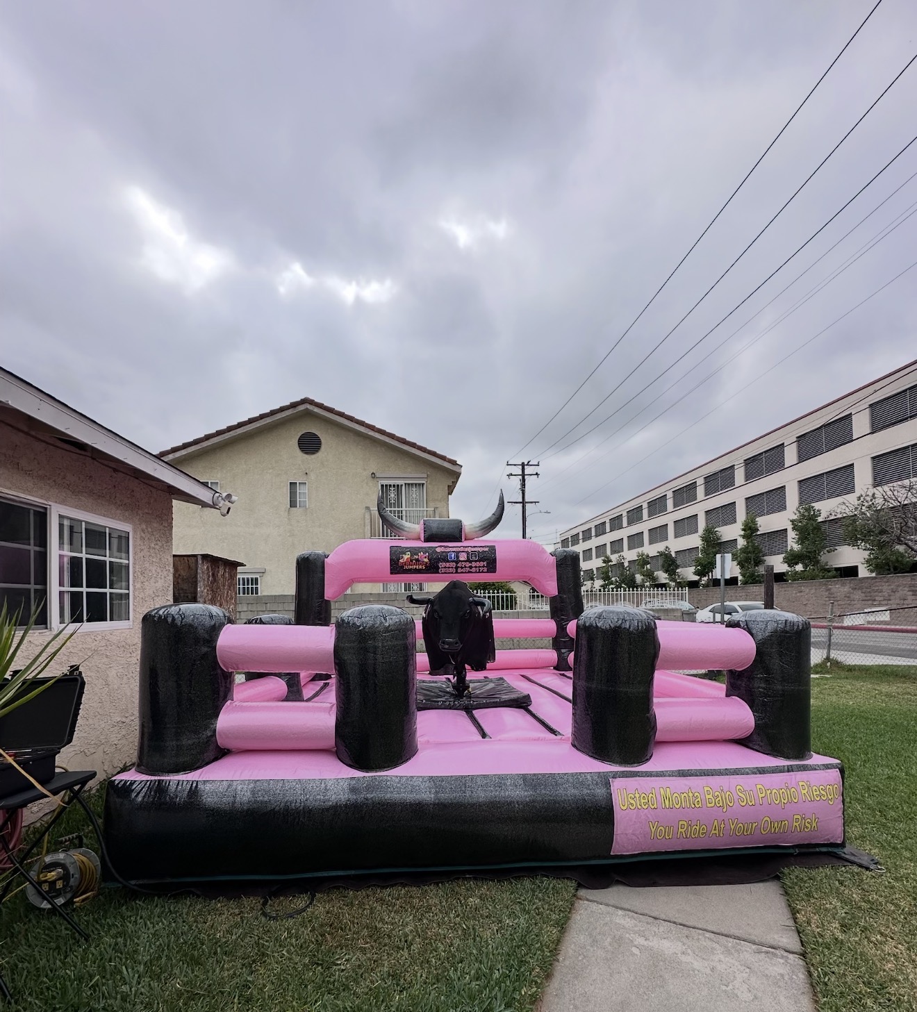 Glittery Pink Mechanical Bull