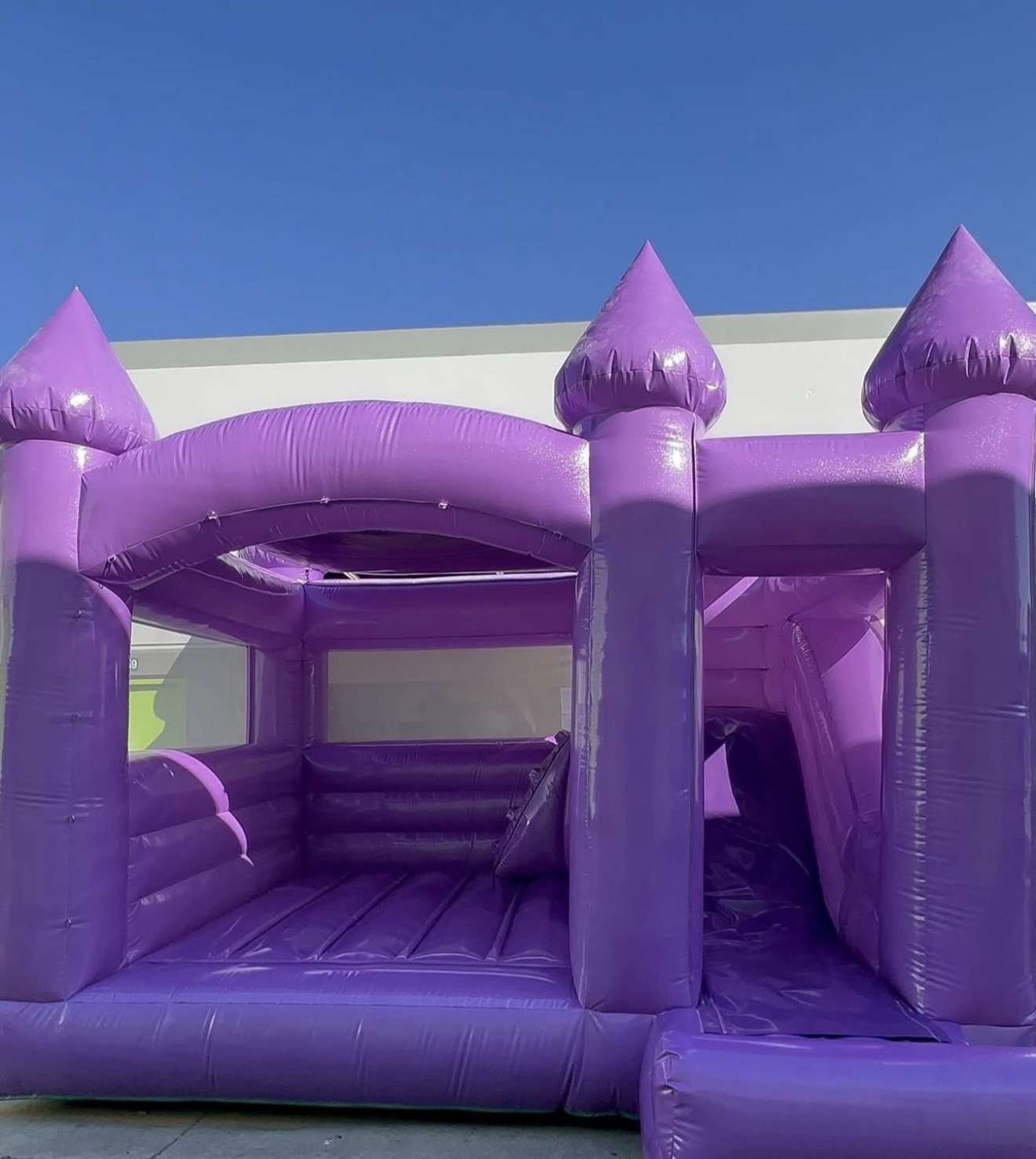 Purple Luxury Bounce House with Slide